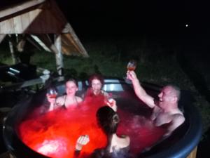 a group of people in a pool with wine glasses at Cabana Dani in Vatra Dornei