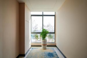 Fotografie z fotogalerie ubytování DongHu Resort Hotel v destinaci Sihanoukville