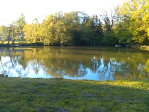 a large lake with trees in the background at Apartmán Srubík in Čisovice