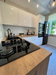 a kitchen with a black stove top in a kitchen at Apartament Sunrise in Częstochowa
