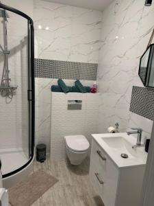 Koupelna v ubytování Kawalerka Orla