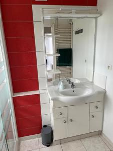 a bathroom with a sink and a mirror at Gîte Les Hortensias in Morlaix +4 photos