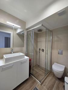 a bathroom with a shower and a toilet and a sink at Wind Apartment in Agia Roumeli in Agia Roumeli