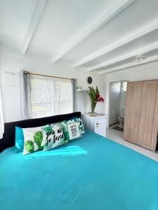 拉罗汤加Sharnytas Studio AIR CONDITIONED的一间卧室配有蓝色的床和枕头