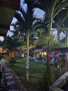 a resort yard with palm trees with christmas lights at Bohol Sea Breeze Cottages and Resort in Panglao