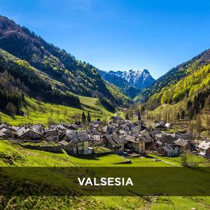 Príroda v okolí apartmánu