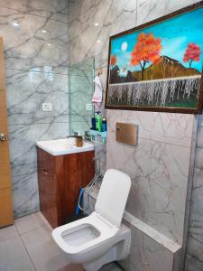 ChambaにあるSVS Recreational Hotels & Resortsの白いトイレと洗面台のあるバスルーム +72枚の写真