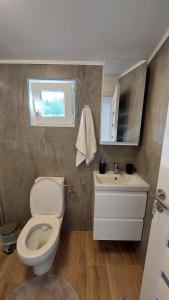 a bathroom with a toilet and a sink and a window at Tiny Moldovibe in Filioara +27 photos