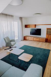 a living room with a couch and a flat screen tv at Zur Pfanne – Studio in Biberach an der Riß