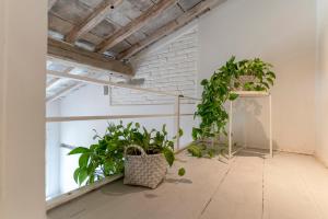 a room with potted plants on the floor at Fossi tower in Florence