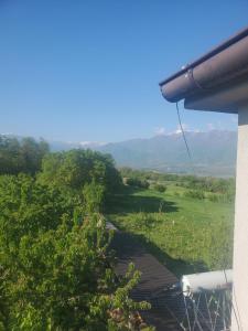 Gallery image of Dea's Village House-Bujtina Dea in Peshkopi
