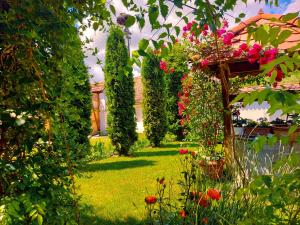 un jardín con un montón de flores y plantas en Pensiunea Keisd en Saschiz