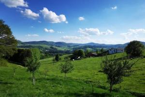 a field of green grass with trees in it at Ferienwohnung BergPanorama Rhön in Gersfeld