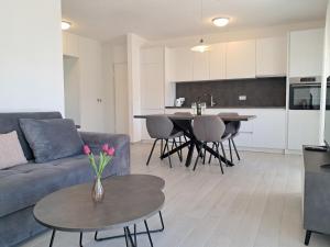 Kuhinja ili čajna kuhinja u objektu Apartment Ursus
