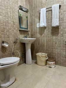 a bathroom with a toilet and a sink at Lidder view Resorts in Pahalgām
