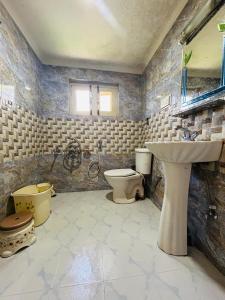 a bathroom with a sink and a toilet at Lidder view Resorts in Pahalgām
