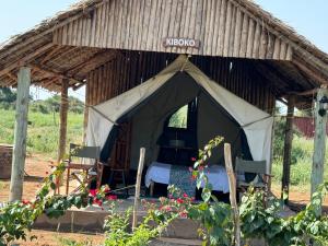 une tente dans un champ avec un lit dans l'établissement Amboseli Discovery Camp, à Amboseli