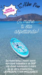 une affiche d'une planche de surf assise dans l'eau dans l'établissement S’alba Noa, à Quartu SantʼElena