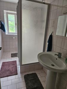 Imagine din galeria proprietății Wohnung im Nationalpark Kalkalpen 3 în Reichraming +5 fotografii