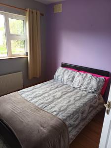 a bedroom with a bed with a pillow and a window at graiguenamanagh Homestay in Graiguenamanagh