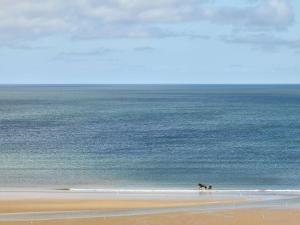 two horses walking on a beach near the ocean at Le Grand Hotel de Cabourg - MGallery Collection in Cabourg