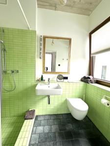 bagno verde con lavandino e servizi igienici di Cologne Country Lodge a Colonia