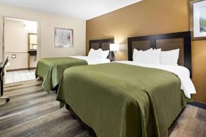ディケーターにあるQuality Inn Decatur River Cityのベッド2台 ホテルルーム 緑のシーツ付