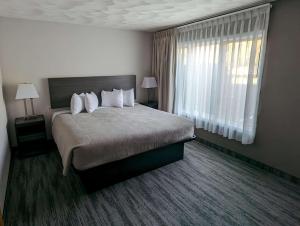 ein Hotelzimmer mit einem Bett und einem Fenster in der Unterkunft Quality Inn & Suites Munising in Wetmore