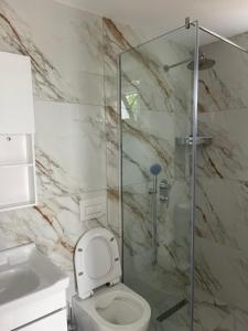 a bathroom with a toilet and a glass shower at Ambelas Guest Rooms 5 in Himare
