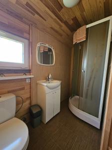 a bathroom with a toilet and a sink and a shower at Nameliai Šventojoje 2 in Palanga