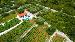 an aerial view of a farm with a house at Stone house in vineyard in Račišće