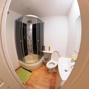 een badkamer met een douche, een toilet en een wastafel bij STONE GARDEN 2 in Liepāja