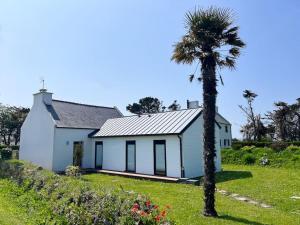 eine Palme vor einem weißen Haus in der Unterkunft Jolie maison de vacances à 5 mn à pied des plages in Landéda