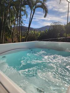 a jacuzzi tub with blue water and palm trees at Cabana Hostel nas Árvores EcoPark in São Pedro