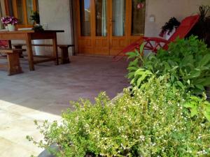 Vonkajšia záhrada v ubytovaní Casa Donna Razietta - Natura e relax