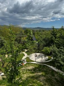 an overhead view of a garden with rocks and trees at Cervus Magura in Măgura