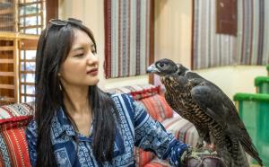 Majutusasutuse Souq Al Wakra Hotel Qatar By Tivoli külastajad