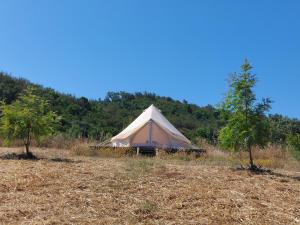 ein großes Zelt auf einem Feld mit Bäumen in der Unterkunft Lost Paradise - A night into the Alentejo! in Sabóia