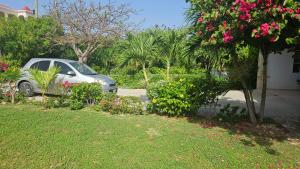 Taman di luar Thrush Nest View Studio Apartment