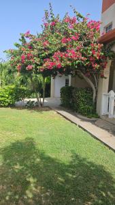 Taman di luar Thrush Nest View Studio Apartment