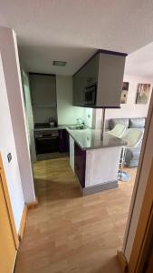 Kuchyňa alebo kuchynka v ubytovaní Apartment Vistamar Luxury