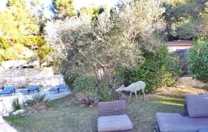 a group of chairs sitting in a yard with a tree at Mas Anastasia in Les Baux-de-Provence +20 photos