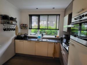 Η κουζίνα ή μικρή κουζίνα στο BLAUWE DRUIF