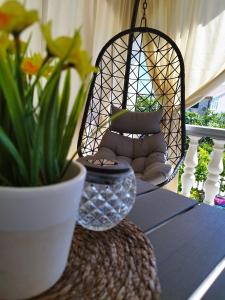 une table avec une chaise en rotin et une plante dans l'établissement Apartments Iris, à Vir