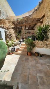 a patio with potted plants and a stone wall at Casa Estrella Cave Apartment in Baza