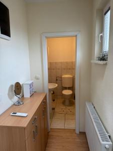 a bathroom with a toilet and a sink at Villa Osik in Sarajevo +9 photos