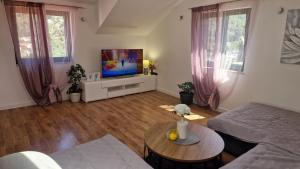 TV a/nebo společenská místnost v ubytování Apartments Ante