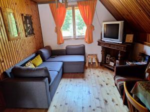 sala de estar con sofá y TV en EtnoPetra en Mojkovac