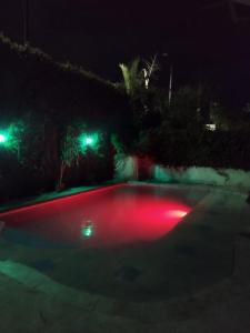 Πισίνα στο ή κοντά στο Managua Inn +14 φωτογραφίες