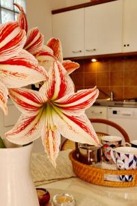 Un jarrón blanco con una flor roja y blanca sobre una mesa. en Apartment Hana, en Ičići